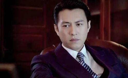 电视剧伪装者48看全集在线观看,揭秘抗战岁月中的生死较量  第2张